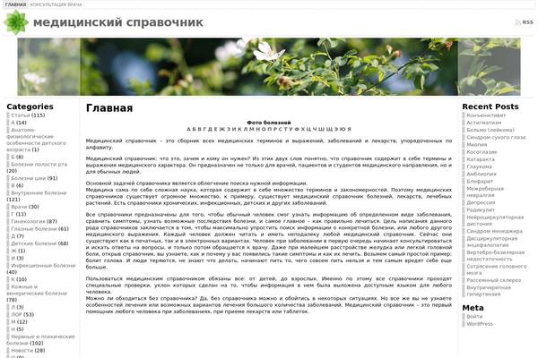 WordPress website example screenshot