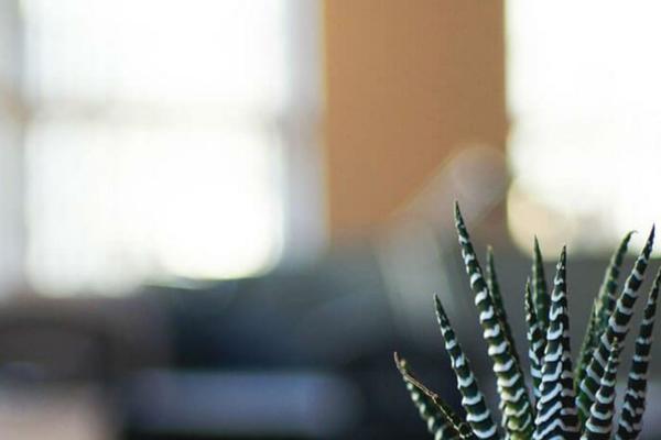 Twenty Seventeen theme site design template sample