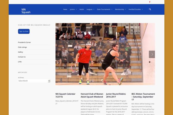 WordPress website example screenshot