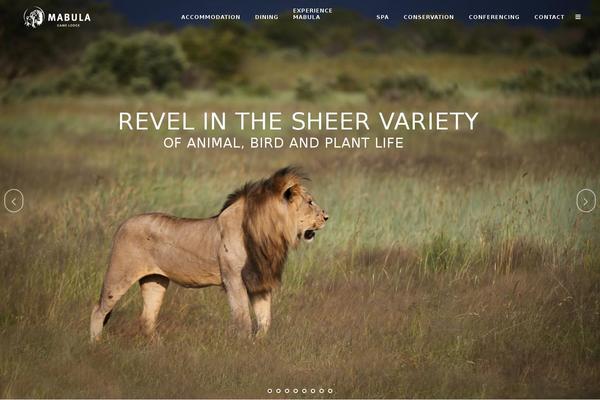 Bridge theme site design template sample