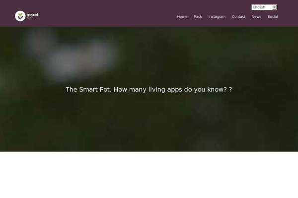 Divi theme site design template sample