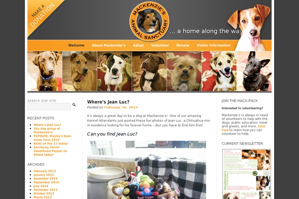 mackenzies theme websites examples