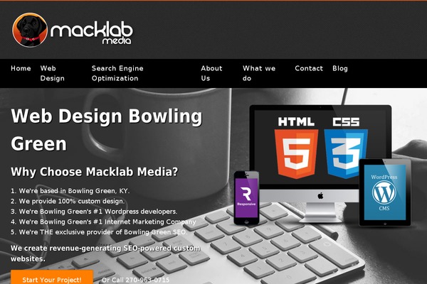 WordPress website example screenshot