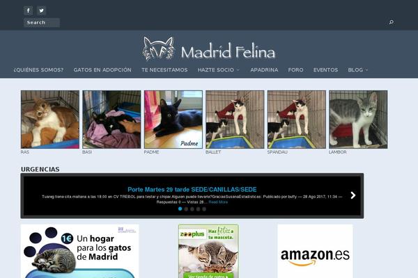 madridfelina.com site used Mfelina