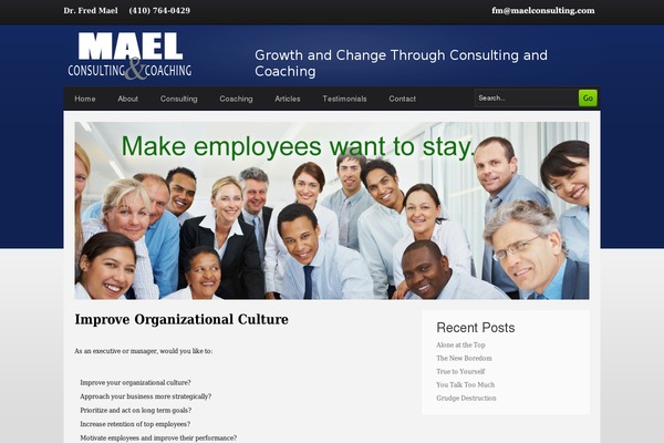 maelconsulting.com site used Bigblog