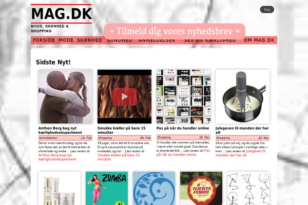 mag.dk site used Mag-dk