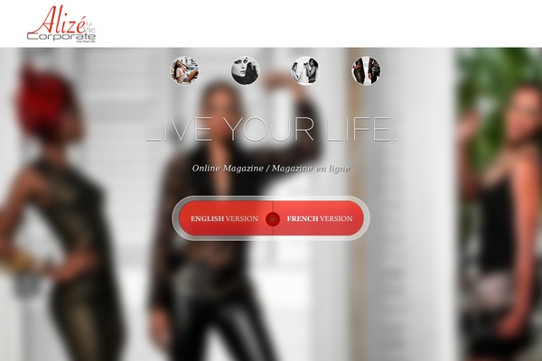 magazinealizelavie.com site used Twenty Twelve