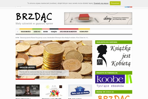 magazynbrzdac.pl site used PrimeTime