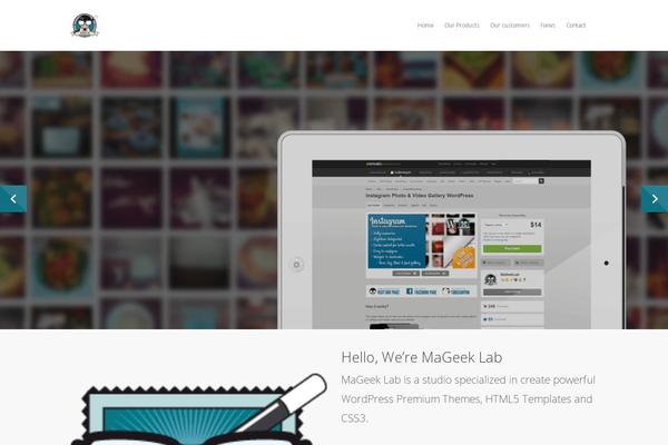Salient theme site design template sample
