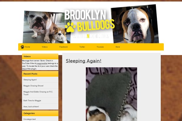 WordPress website example screenshot