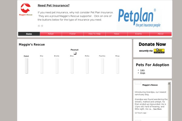 maggiesrescue.org site used Maggiesrescue_2014