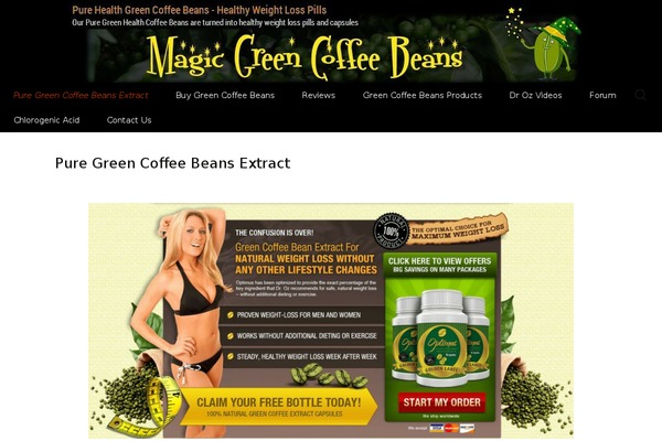 Twenty Thirteen theme site design template sample