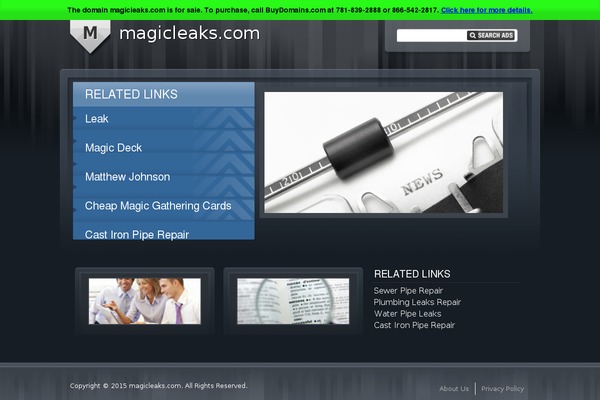 magicleaks.com site used Magicleakstheme