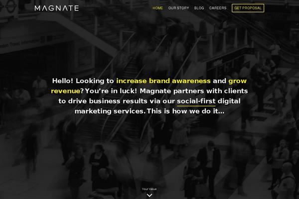 magnate.co site used Magnate