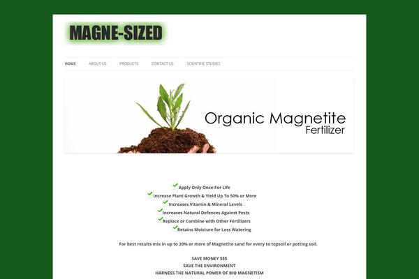 Twenty Twelve theme site design template sample