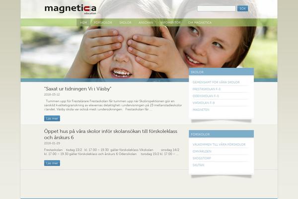 Magnetica theme site design template sample