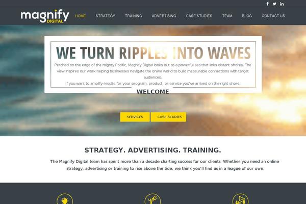 magnify theme websites examples