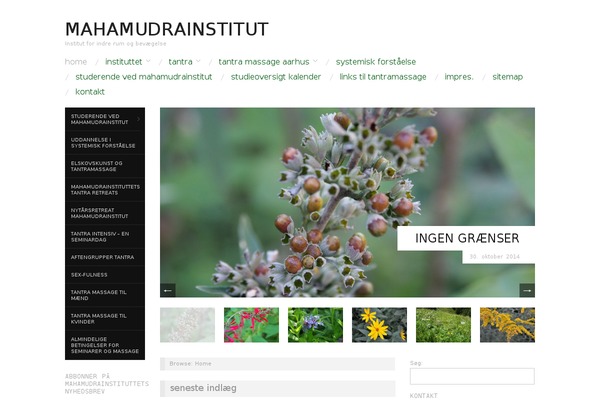 Oxygen theme site design template sample