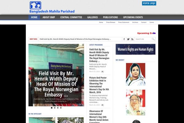WordPress website example screenshot