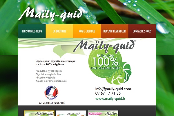 maily-quid.com site used Theme1459