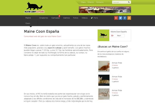 mainecoons.es site used Mainecoon