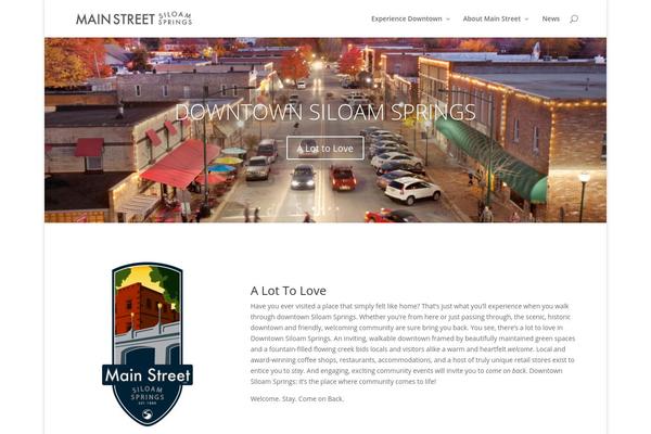 Divi theme site design template sample