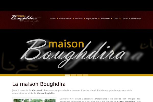 Amadeus theme site design template sample