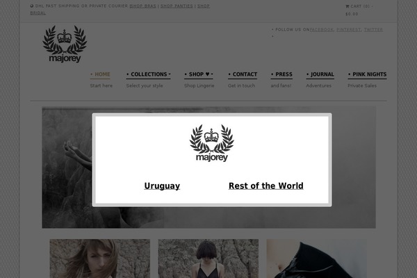 Razzo theme site design template sample