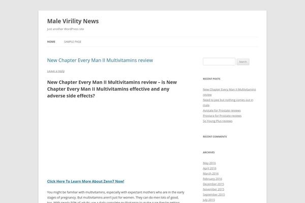 WordPress website example screenshot