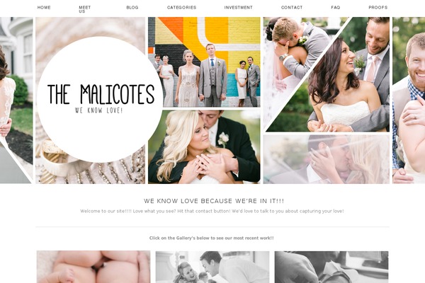 ProPhoto 5 theme site design template sample