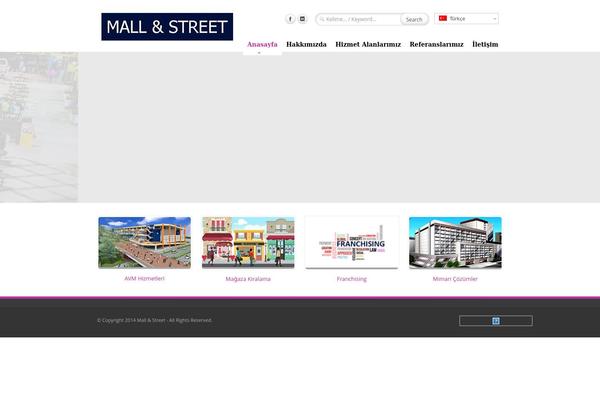 mallstreet theme websites examples