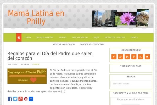 WordPress website example screenshot