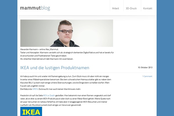 WordPress website example screenshot