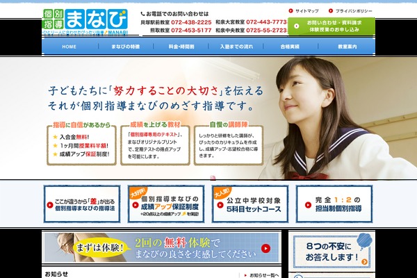 manabi theme websites examples