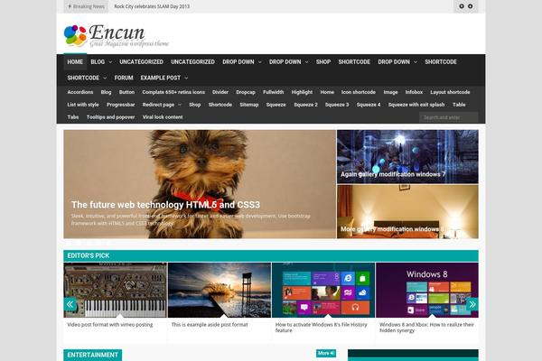 Encun theme site design template sample