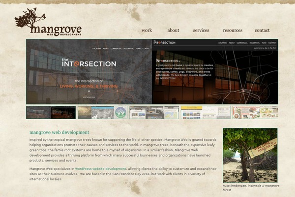 mangrove-web.com site used Bones-mangrove