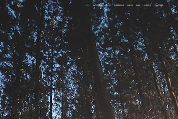 Brooklyn theme site design template sample