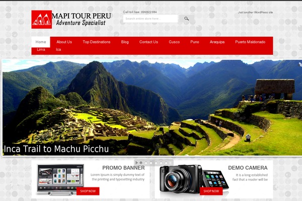 WordPress website example screenshot