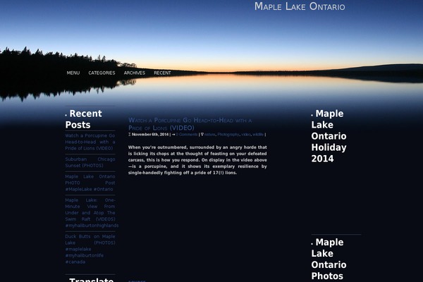 WordPress website example screenshot