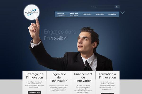 mapping-consulting.com site used Theme1447