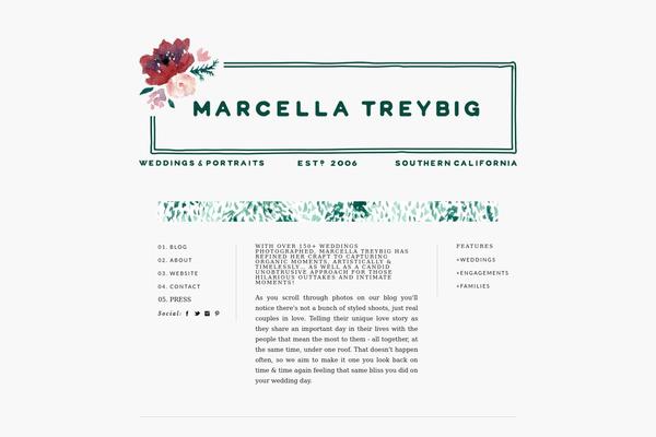 ProPhoto 5 theme site design template sample