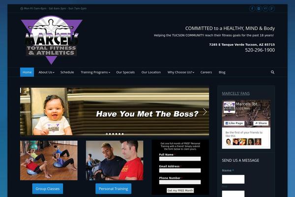 WordPress website example screenshot