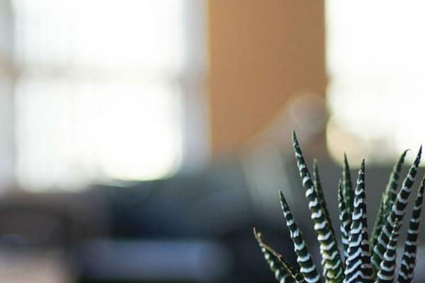 Twenty Seventeen theme site design template sample