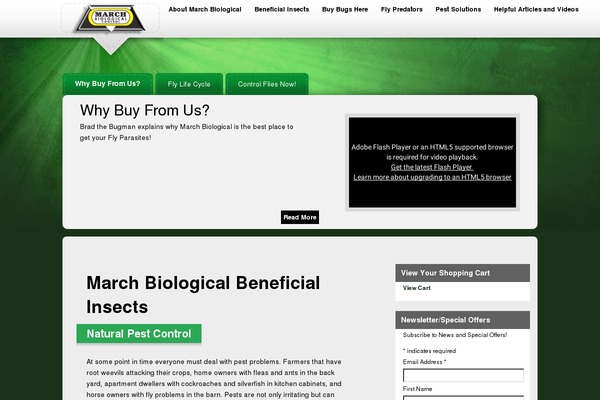 Site using Cornerstone plugin