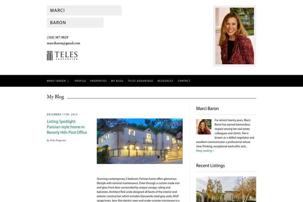 Teles theme site design template sample