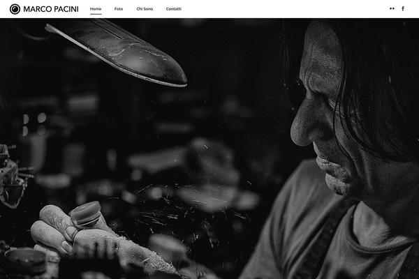 Bridge Child theme site design template sample