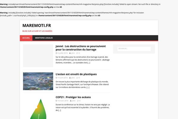 WordPress website example screenshot