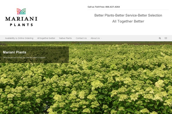 Canvas theme site design template sample