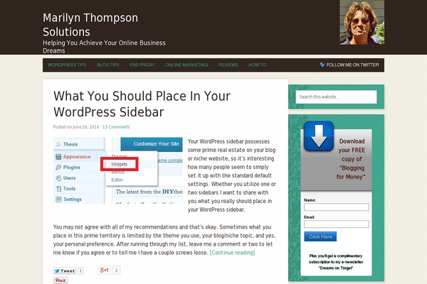 WordPress website example screenshot