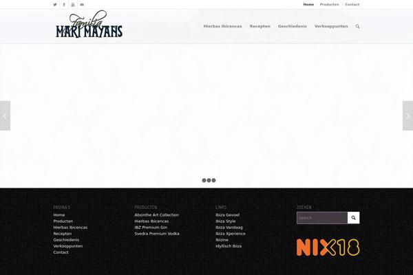 Enfold theme site design template sample